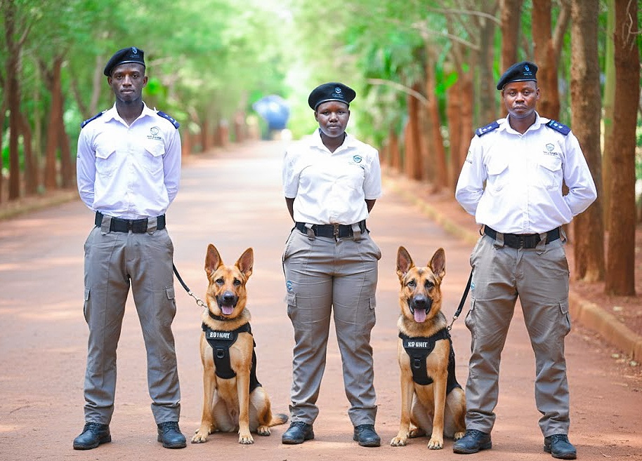 Security dog and handler at a controlled entrance